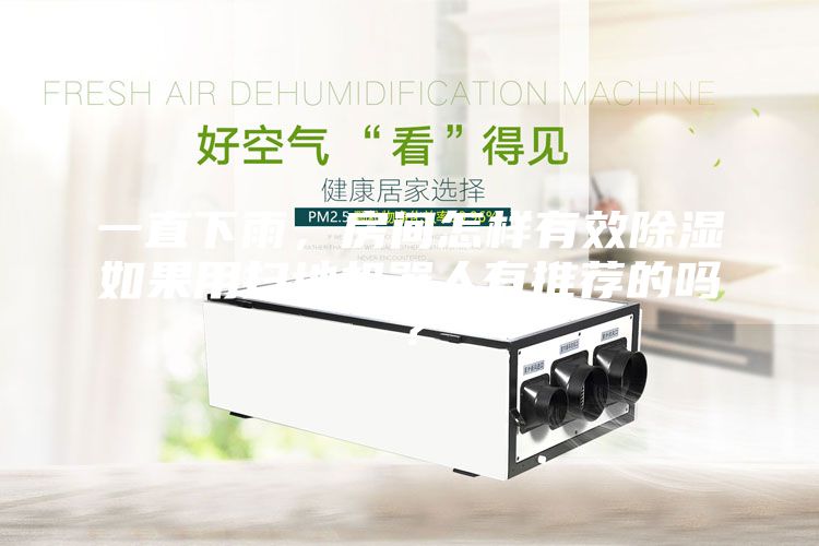一直下雨，房間怎樣有效除濕如果用掃地機器人有推薦的嗎？