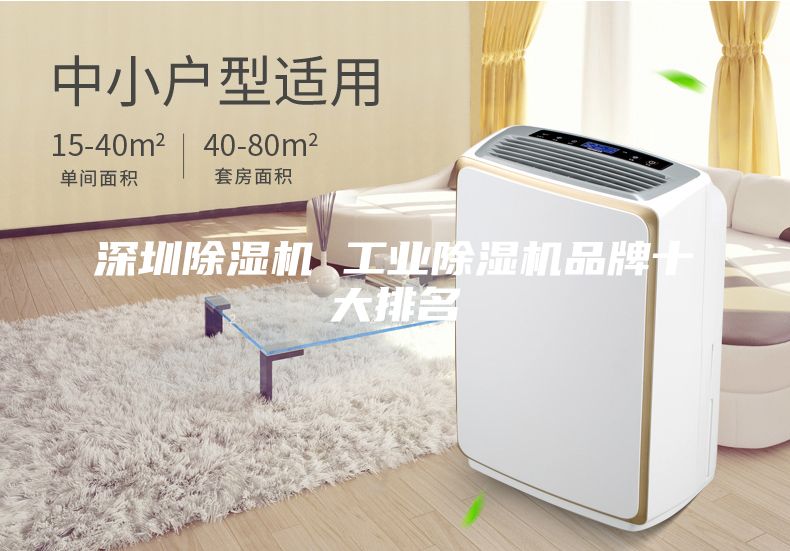 深圳除濕機 工業(yè)除濕機品牌十大排名