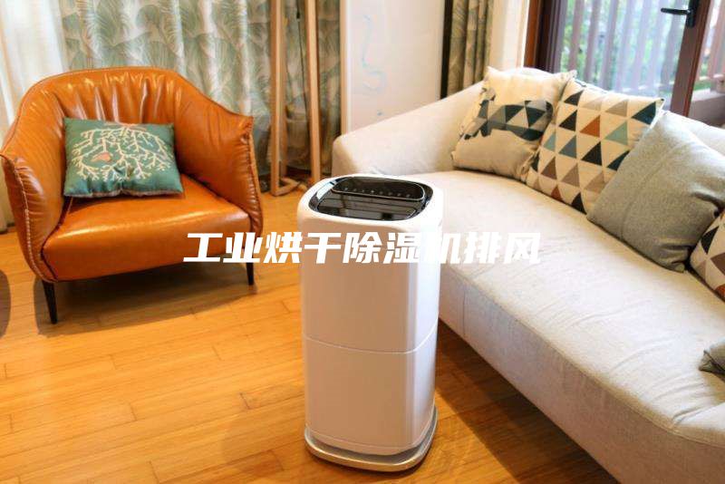 工業(yè)烘干除濕機排風(fēng)