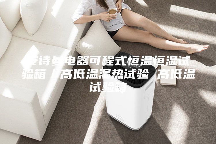 安詩(shī)曼電器可程式恒溫恒濕試驗(yàn)箱／高低溫濕熱試驗(yàn) 高低溫試驗(yàn)箱