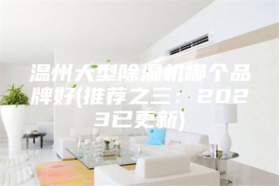 溫州大型除濕機(jī)哪個品牌好(推薦之三：2023已更新)