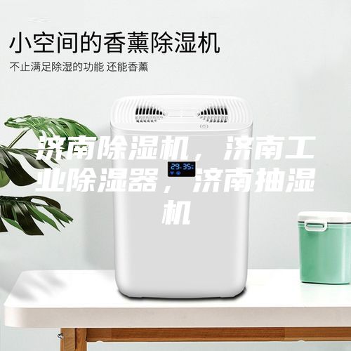 濟(jì)南除濕機(jī)，濟(jì)南工業(yè)除濕器，濟(jì)南抽濕機(jī)