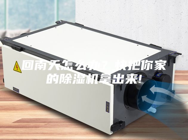 回南天怎么辦？快把你家的除濕機(jī)拿出來!