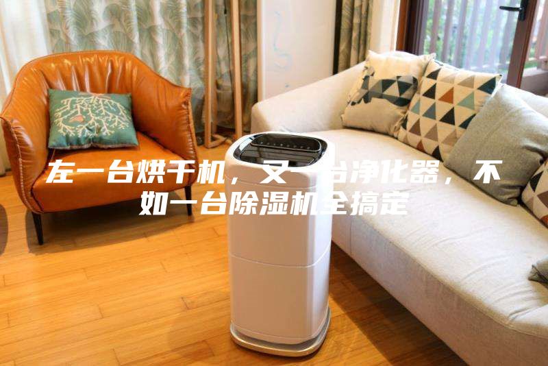 左一臺(tái)烘干機(jī)，又一臺(tái)凈化器，不如一臺(tái)除濕機(jī)全搞定