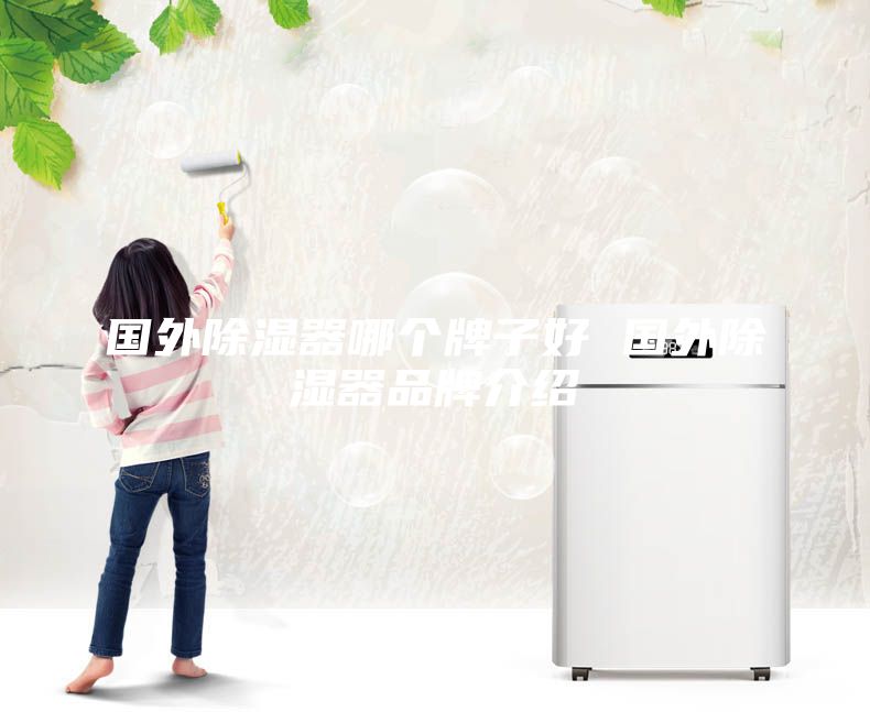國外除濕器哪個(gè)牌子好 國外除濕器品牌介紹