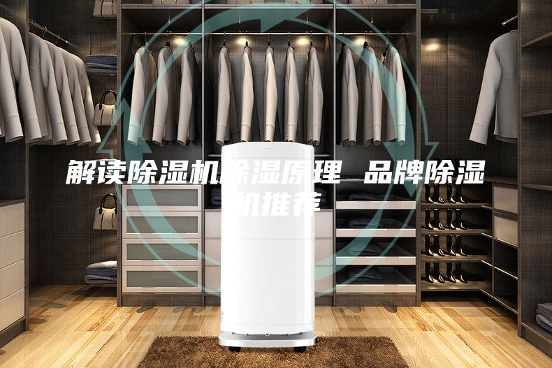 解讀除濕機(jī)除濕原理 品牌除濕機(jī)推薦