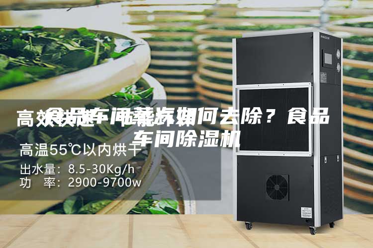食品車間蒸汽如何去除？食品車間除濕機