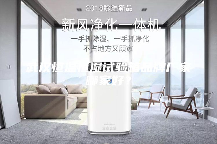 武漢恒溫恒濕試驗(yàn)箱品牌廠家哪家好？