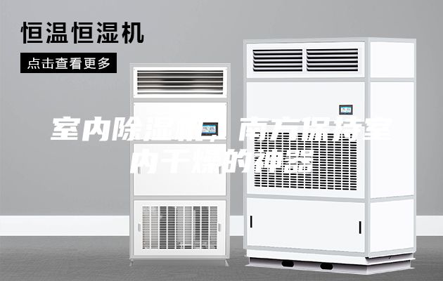 室內(nèi)除濕機(jī)，南方保持室內(nèi)干燥的神器