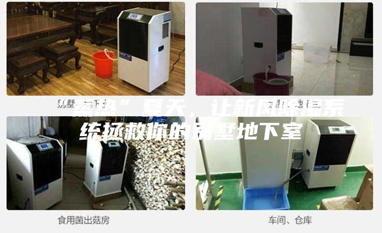 “蒸熱”夏天，讓新風(fēng)除濕系統(tǒng)拯救你的別墅地下室