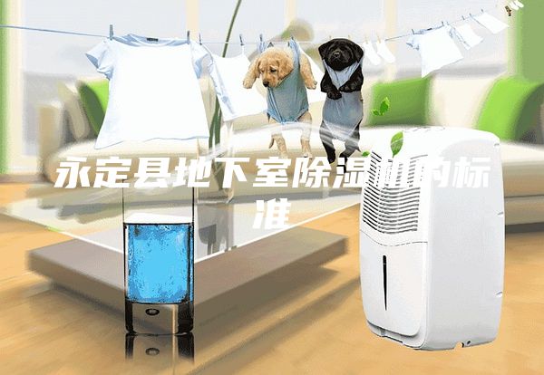 永定縣地下室除濕機(jī)的標(biāo)準(zhǔn)