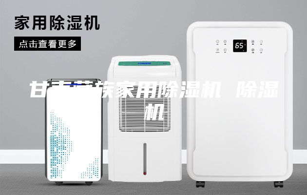 甘南藏族家用除濕機(jī) 除濕機(jī)