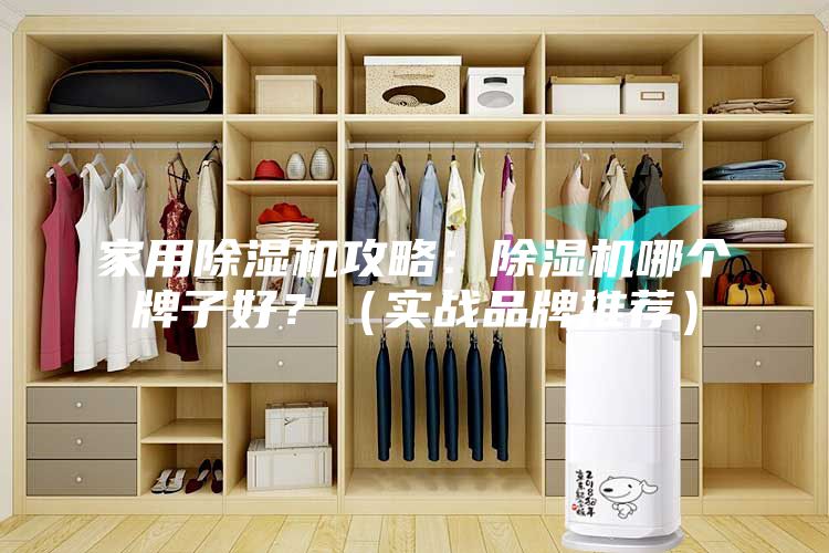 家用除濕機(jī)攻略：除濕機(jī)哪個牌子好？（實(shí)戰(zhàn)品牌推薦）