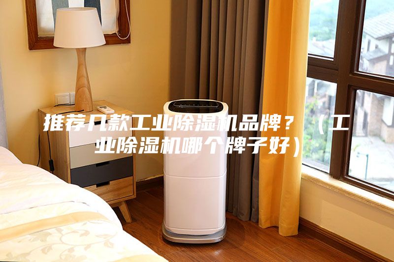 推薦幾款工業(yè)除濕機(jī)品牌？（工業(yè)除濕機(jī)哪個(gè)牌子好）