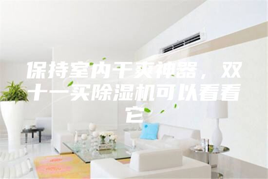 保持室內(nèi)干爽神器，雙十一買除濕機(jī)可以看看它