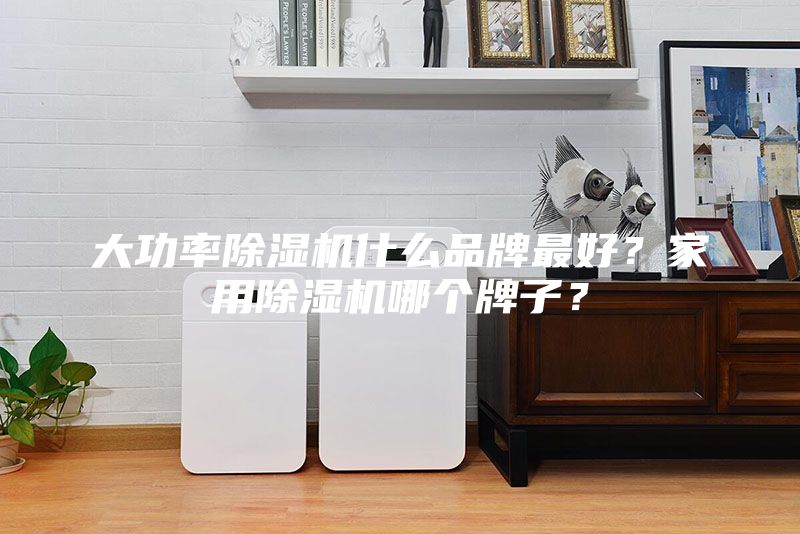 大功率除濕機(jī)什么品牌最好？家用除濕機(jī)哪個(gè)牌子？