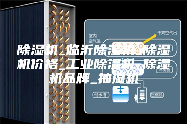 除濕機(jī)_臨沂除濕機(jī)_除濕機(jī)價(jià)格_工業(yè)除濕機(jī)_除濕機(jī)品牌_抽濕機(jī)