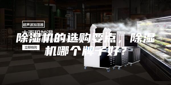 除濕機(jī)的選購(gòu)要點(diǎn)，除濕機(jī)哪個(gè)牌子好？