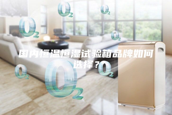 國(guó)內(nèi)恒溫恒濕試驗(yàn)箱品牌如何選擇？