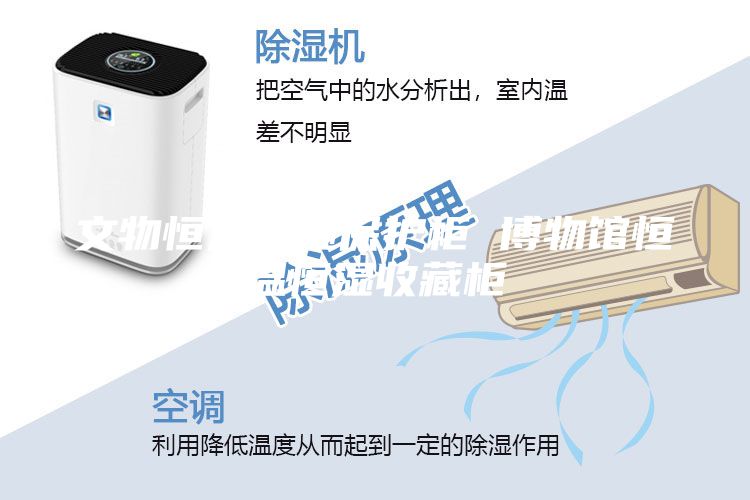 文物恒溫恒濕保護(hù)柜 博物館恒溫恒濕收藏柜