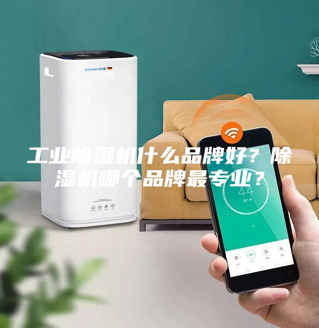 工業(yè)除濕機(jī)什么品牌好？除濕機(jī)哪個品牌最專業(yè)？