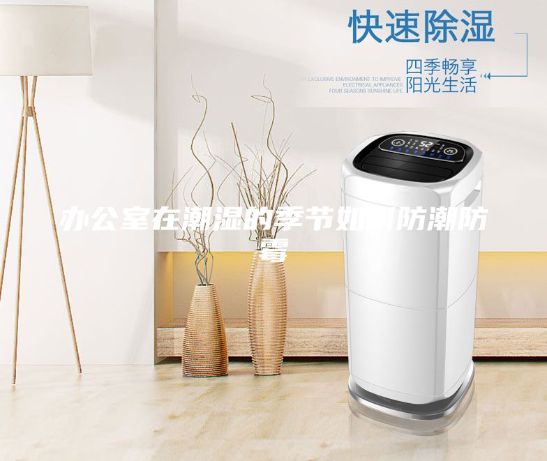 辦公室在潮濕的季節(jié)如何防潮防霉