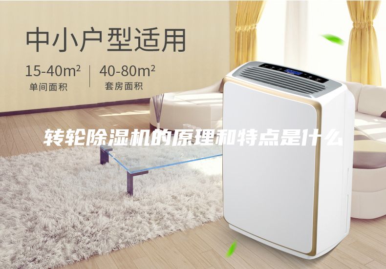 轉(zhuǎn)輪除濕機的原理和特點是什么