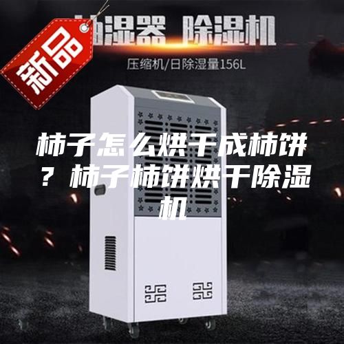 柿子怎么烘干成柿餅？柿子柿餅烘干除濕機(jī)