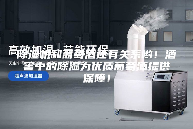 除濕機(jī)和葡萄酒還有關(guān)系喲！酒窖中的除濕為優(yōu)質(zhì)葡萄酒提供保障！