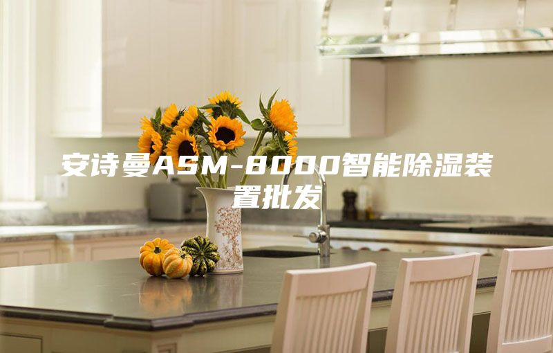 安詩(shī)曼ASM-8000智能除濕裝置批發(fā)