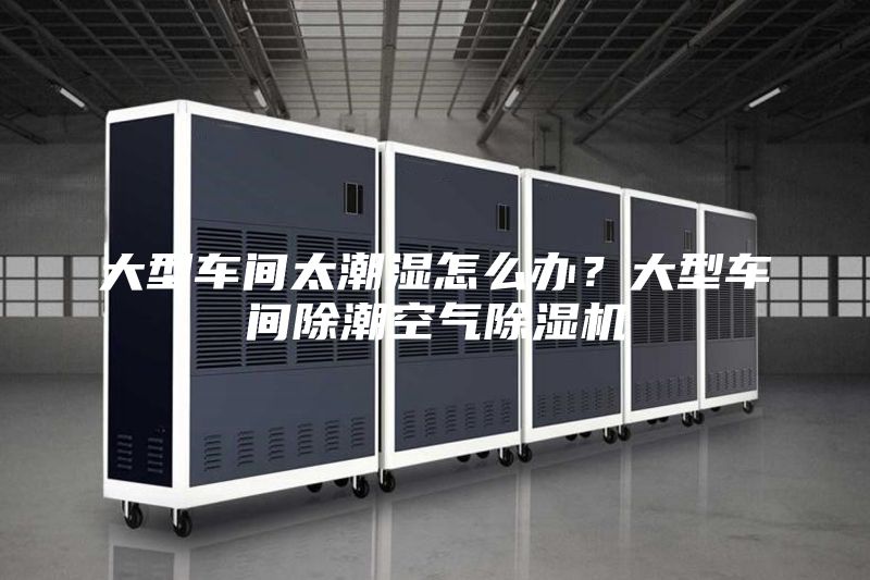 大型車間太潮濕怎么辦？大型車間除潮空氣除濕機(jī)