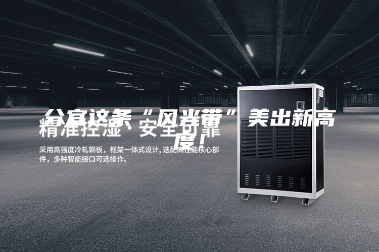 分宜這條“風光帶”美出新高度！