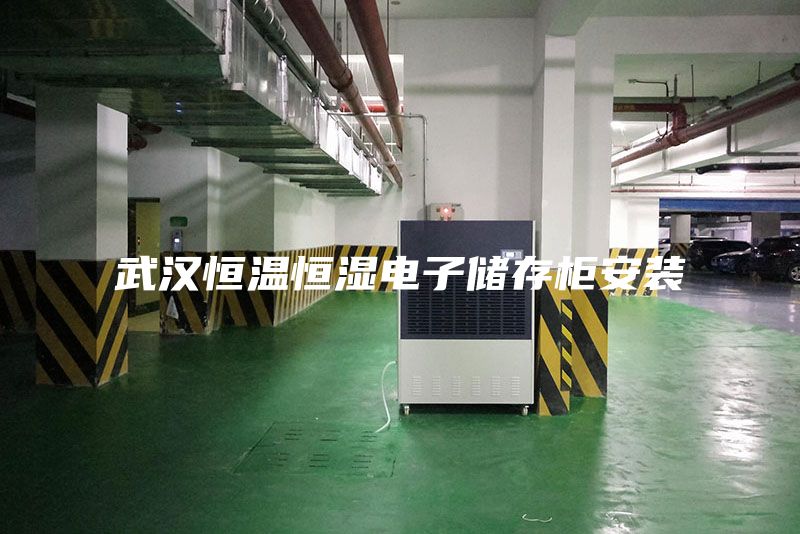 武漢恒溫恒濕電子儲(chǔ)存柜安裝