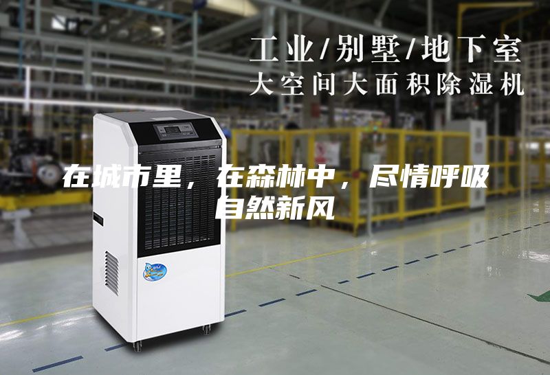 在城市里，在森林中，盡情呼吸自然新風