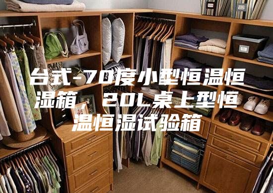 臺式-70度小型恒溫恒濕箱，20L桌上型恒溫恒濕試驗箱