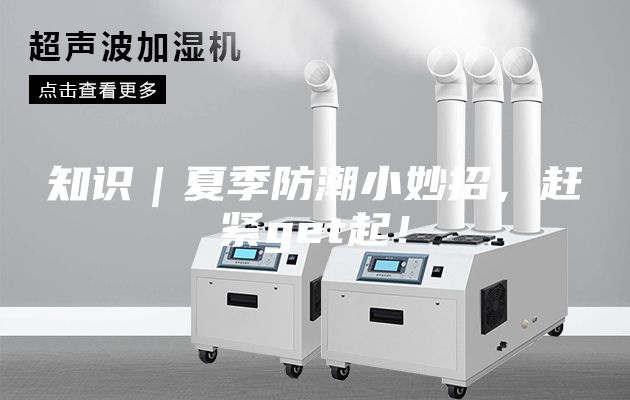 知識｜夏季防潮小妙招，趕緊get起！