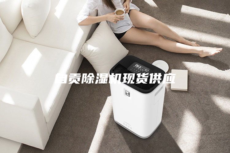 自貢除濕機現(xiàn)貨供應(yīng)