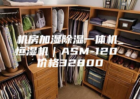 機(jī)房加濕除濕一體機(jī)_恒濕機(jī)｜ASM-120 價格32800