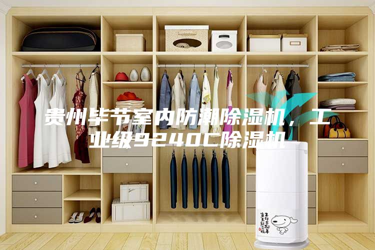 貴州畢節(jié)室內(nèi)防潮除濕機(jī)，工業(yè)級(jí)9240C除濕機(jī)