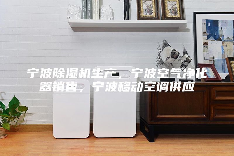 寧波除濕機生產(chǎn)，寧波空氣凈化器銷售，寧波移動空調供應