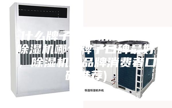 什么牌子除濕機質量好(除濕機哪個牌子口碑最好，除濕機的品牌消費者口碑推薦)