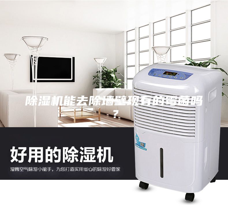 除濕機能去除墻壁現(xiàn)有的霉菌嗎？