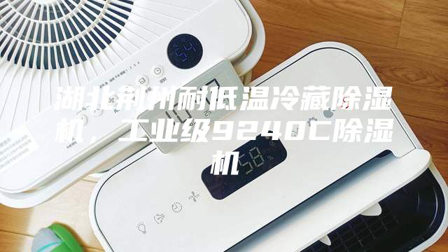 湖北荊州耐低溫冷藏除濕機(jī)，工業(yè)級9240C除濕機(jī)