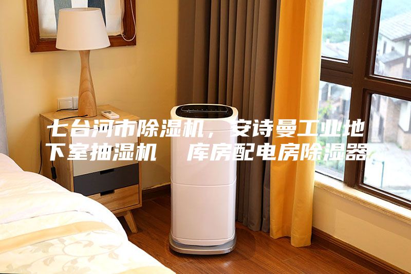 七臺河市除濕機，安詩曼工業(yè)地下室抽濕機  庫房配電房除濕器