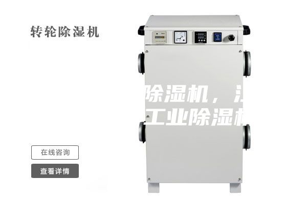 低露點(diǎn)轉(zhuǎn)輪除濕機(jī)，江蘇除濕機(jī)，工業(yè)除濕機(jī)
