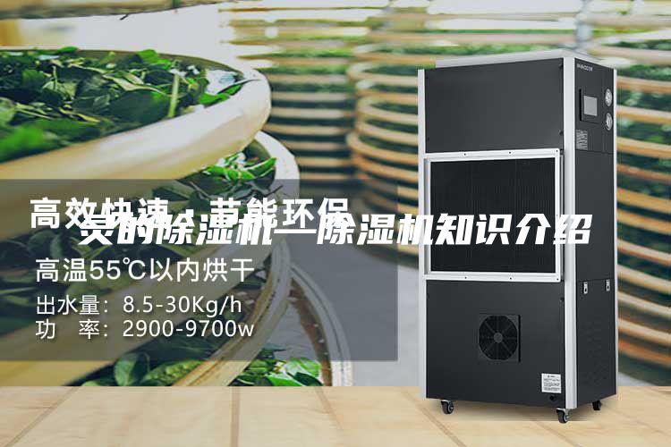 靈的除濕機(jī)—除濕機(jī)知識介紹