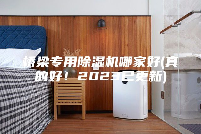 橋梁專(zhuān)用除濕機(jī)哪家好(真的好！2023已更新)