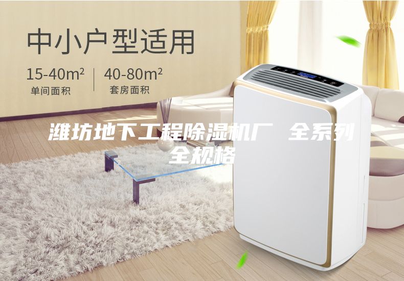 濰坊地下工程除濕機(jī)廠 全系列全規(guī)格