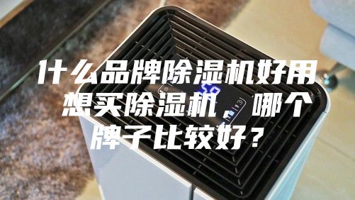什么品牌除濕機(jī)好用 想買除濕機(jī)，哪個(gè)牌子比較好？