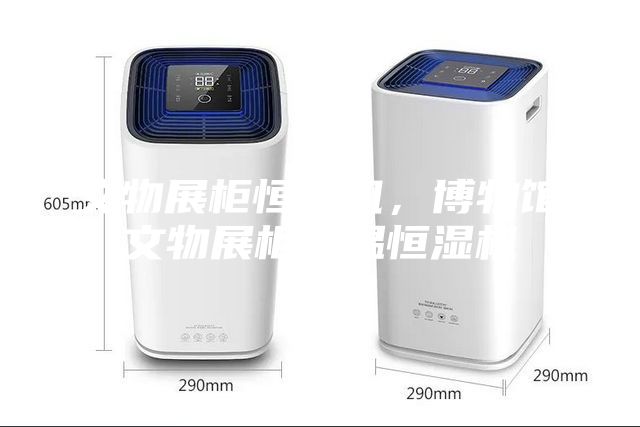 文物展柜恒濕機(jī)，博物館文物展柜恒溫恒濕機(jī)
